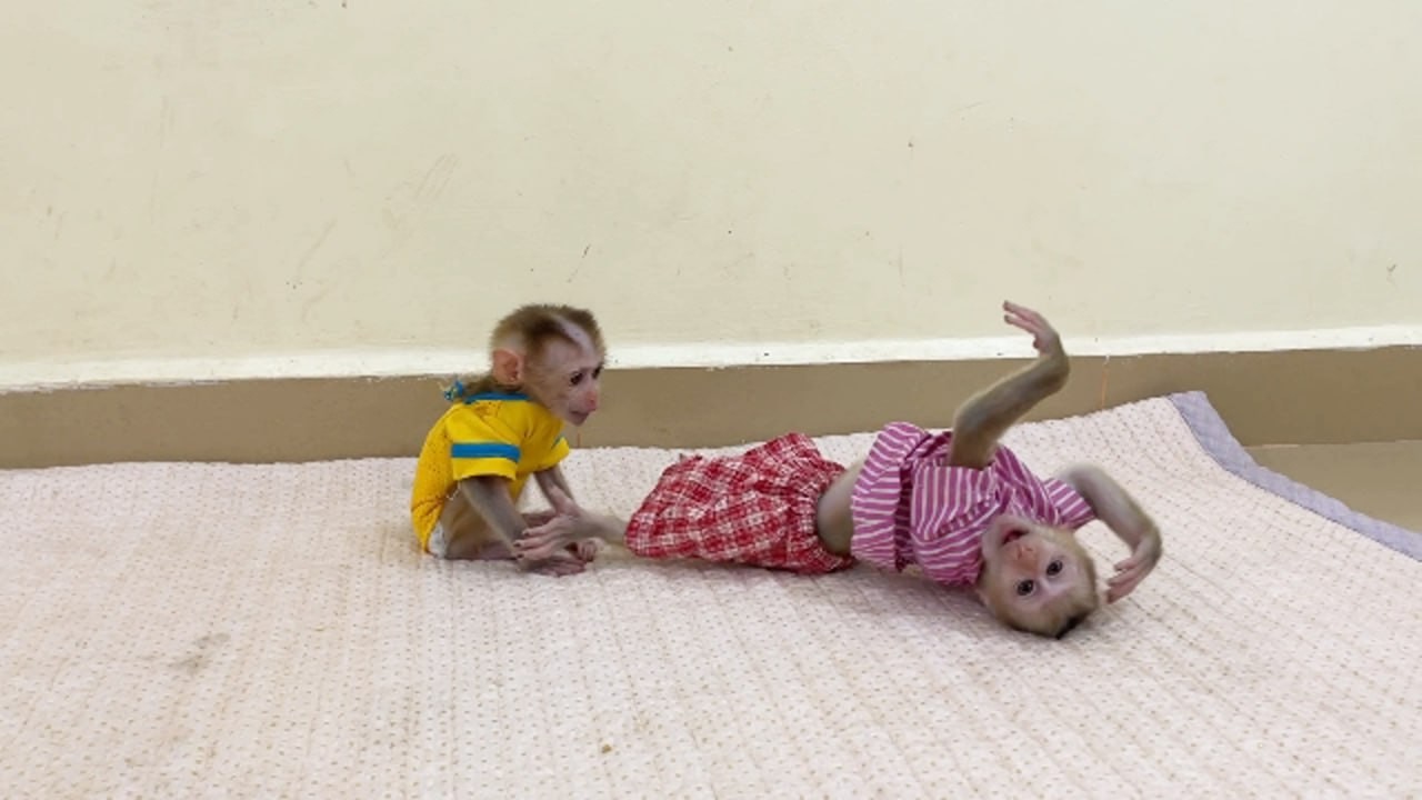 Ronaldo Happily Reaction Playful But Selena So Calm