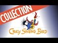 Collection of Crazy Singing Bird Animations Since 2002