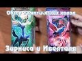 Обзор двух тематических колод русской версии Pokemon TCG (часть 1)