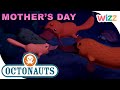 @Octonauts - Moms of the Ocean  🌸🌊 | Mother&#39;s Day Special! | Compilation | Cartoons for Kids | @Wizz