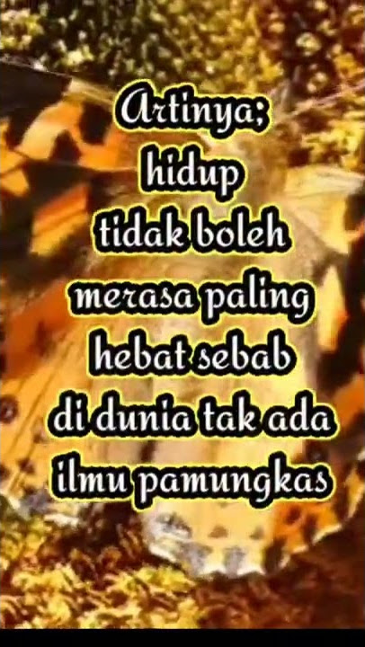 Kata Bijak Bahasa Sunda 2022 || asa aing uyah kidul #shorts