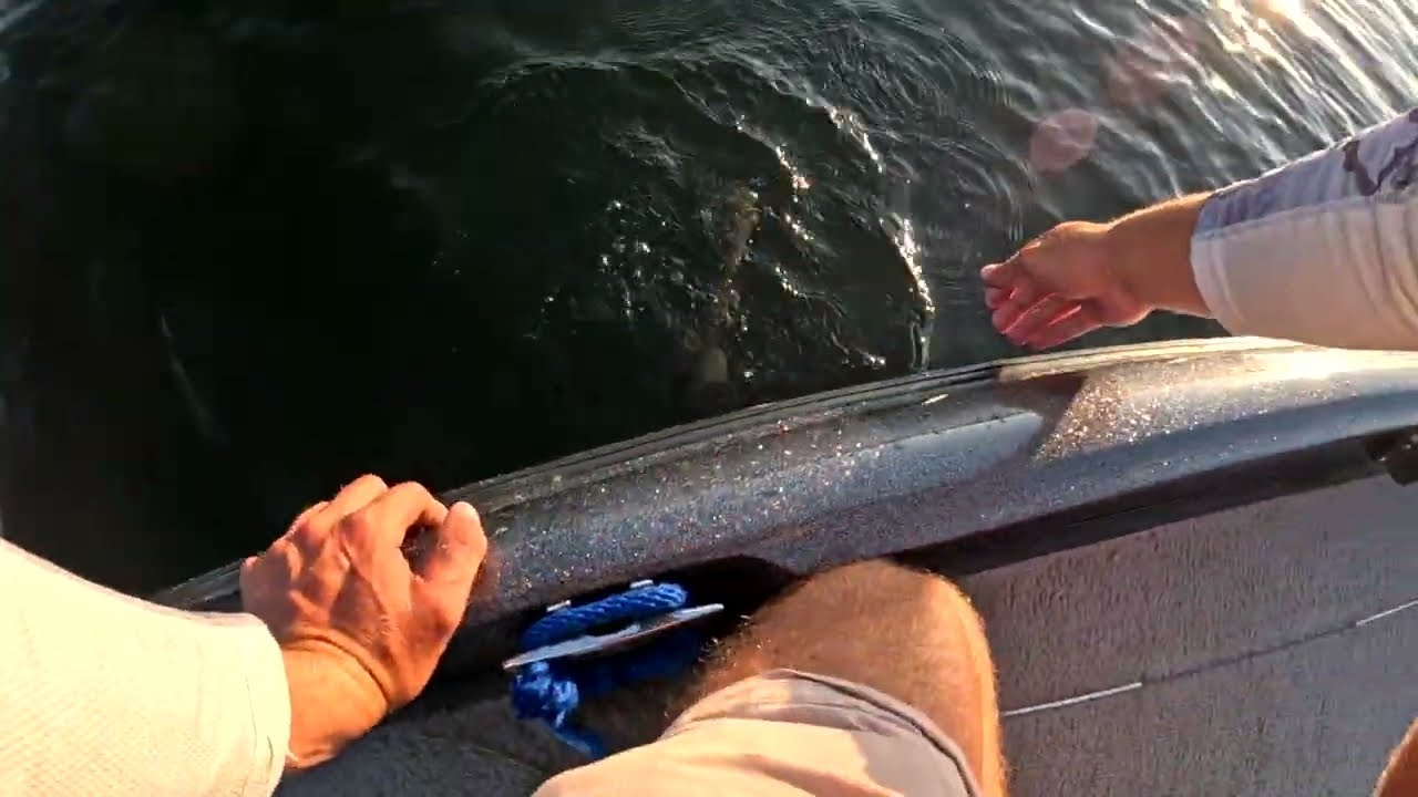 Catching Shallow Water Bass in a Florida Lake!