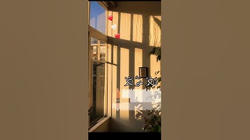 قران كريم.  سورة الجمعه    سعد الغامدي