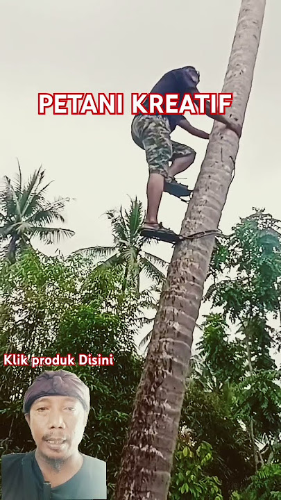 Petani kreatif alat untuk memanjat pohon kelapa #panjatpohonkelapa #kelapaunik #tutorial #alatunik