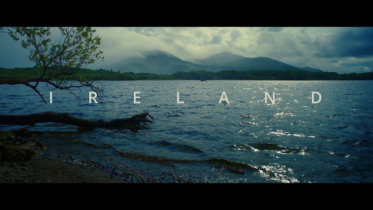 Irish Nature - Immersive Natural Sound | Arri Alexa Mini LF | Relaxing ...