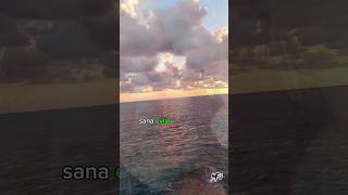 Evlat Örselefekt Ğa Örsel Şk