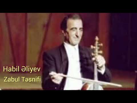 Habil Əliyev-Zabul Təsnifi.