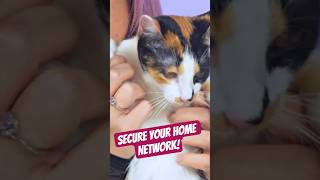 How to Secure Your Wi-Fi Router - Simple Steps | Day 04