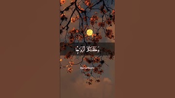 القرآن الكريم راحة نفسية تلاوة خاشعة حالات واتس اب قرآن كريم