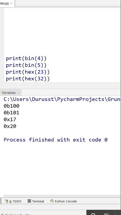 Simple example of the bin() and hex() functions in Python #Shorts - YouTube