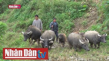 Bắc Bộ và Bắc Trung Bộ không khí lạnh tiếp tục tăng cường