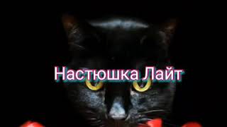 Милые Котята Фотографии Кошек Кошки МИЛОТА!!! Милые Котята Фотографии Кошек Кошки МИЛОТА!!!