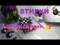 15 офигенных ВТИРОК с АлиЭкспресс /AliExpress /Цветные, Зеркальные втирки, как ЗАКРЕПЛЯЮ 💣