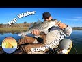 Striper Time! (Springtime Striper Fishing in Massachusetts)