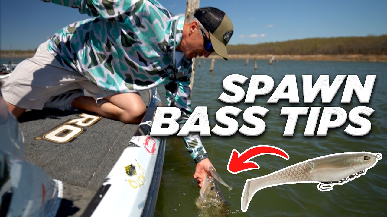 Spawn Bass Fishing (Tips & Tricks)