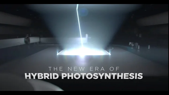 Hybrid PhotoSynthesis Launch at Formnext 2021