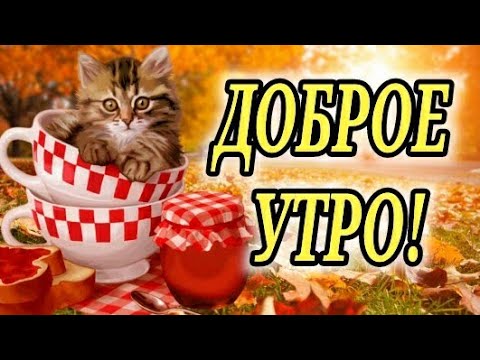 С ДОБРЫМ УТРОМ! ПРЕКРАСНОЕ ПОЖЕЛАНИЕ! ОСЕННЕЕ ДОБРОЕ УТРО! С ДОБРЫМ УТРОМ! ХОРОШЕГО ДНЯ!