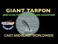 Fishing for giant tarpon  the adrenaline rush