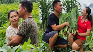 1 Day of Harvesting Agricultural Products  The difficult life of a couple living in the mountains