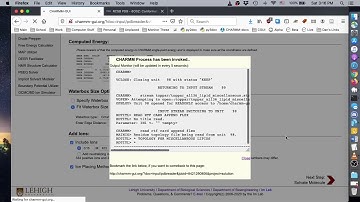 AMBER FF Tutorial 2 -Preparation of protein/DNA/RNA complex for Amber FF (6O0Z)