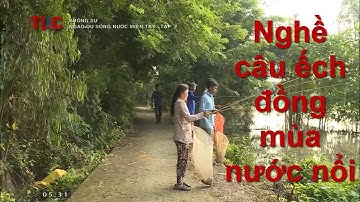 Nghề câu ếch đồng mùa nước nổi