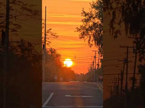 Morning rush hour in Florida 🌅 #florida #rushhour #sunrise #флорида #восходсолнца #дорога