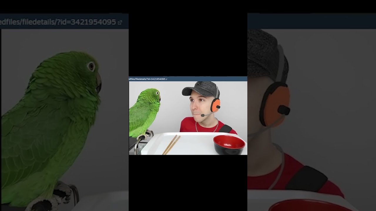 Is it really worth it