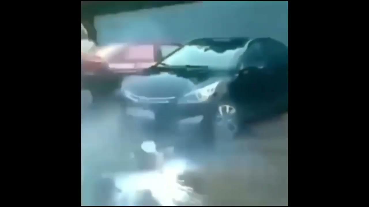 Dog Bottle Explode YouTube