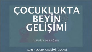 AUZEF/ÇOCUKLUKTA BEYİN GELİŞİMİ/ 1. ÜNİTE DERS ÖZETİ [4. Sınıf]