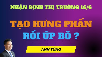 Chứng khoán hôm nay |Nhận định thị trường: nhóm cổ phiếu chứng khoán tạo hưng phấn cao cho Vnindex
