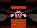 كيف تعمل حبوب الإجهاض في الجسم عجائب طبية الجزء 3 كيف تعمل حبوب الإجهاض في الجسم عجائب طبية الجزء 3