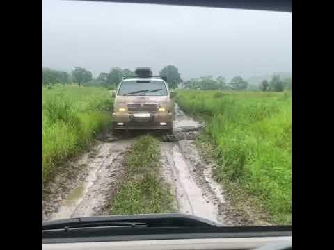 Эльгранд - YouTube