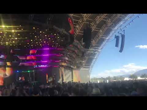 Baby Shark Jauz