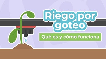 Riego por goteo