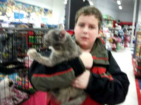 Video Betty & Brody~Petco.avi