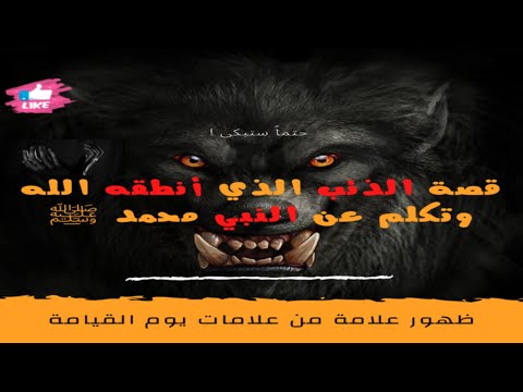 ظهور علامة من علامات يوم القيامة الذئب الذي تكلم عن النبي محمد علية الصلاة والسلام