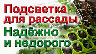 Подсветка для рассады  Самый простой и надежный способ