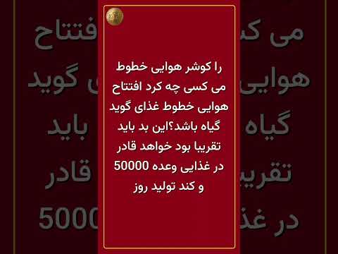 غذای کوشر در ارتفاع 40000 پا ال ال بزرگترین کارخانه غذای خطوط هوای Shorts
