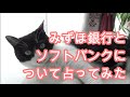 みずほ銀行とソフトバンクについて占ってみた の動画、YouTube動画。