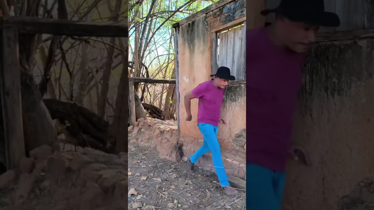 Tereza e Zé 😂👏