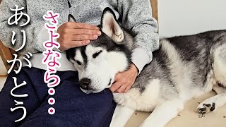 悲しい事がありました...