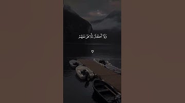 الم ترا ان الله يعلم ما في السموات وما في الارض | سعد الغامدي | قران كريم