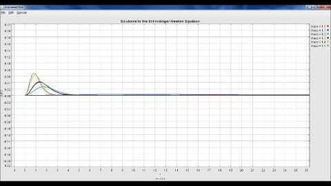 Evolution of a Schrodinger Newton Wave Packet