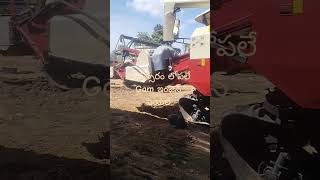 gam engine fail with in year