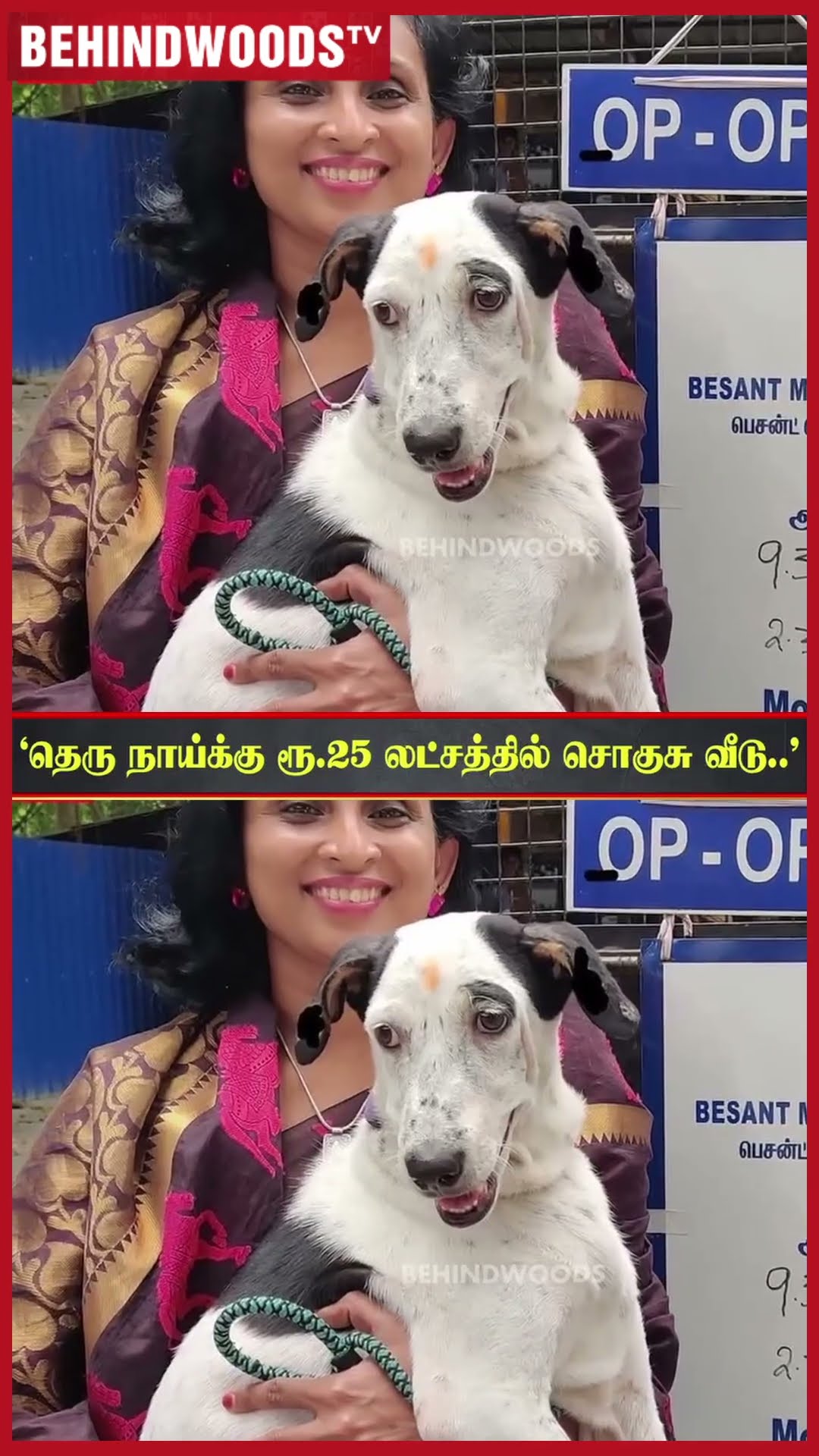ரூ.30 லட்சத்துக்கு அதிபதியான தெரு நாய் ? பாரியாக மாறிய News Reader