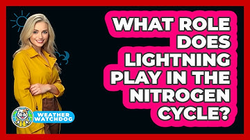What Role Does Lightning Play In The Nitrogen Cycle? - Weather Watchdog