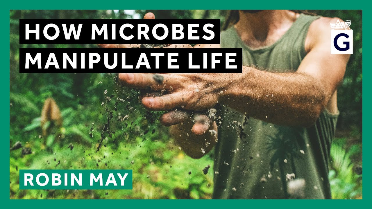 How Microbes Manipulate Life - YouTube