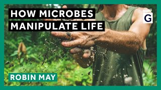 How Microbes Manipulate Life