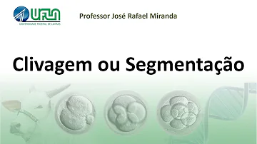 O que é o processo de clivagem?