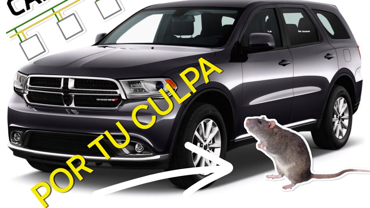2017 DODGE DURANGO NO DA MARCHA (PROBLEMAS DE COMUNICACIÓN)